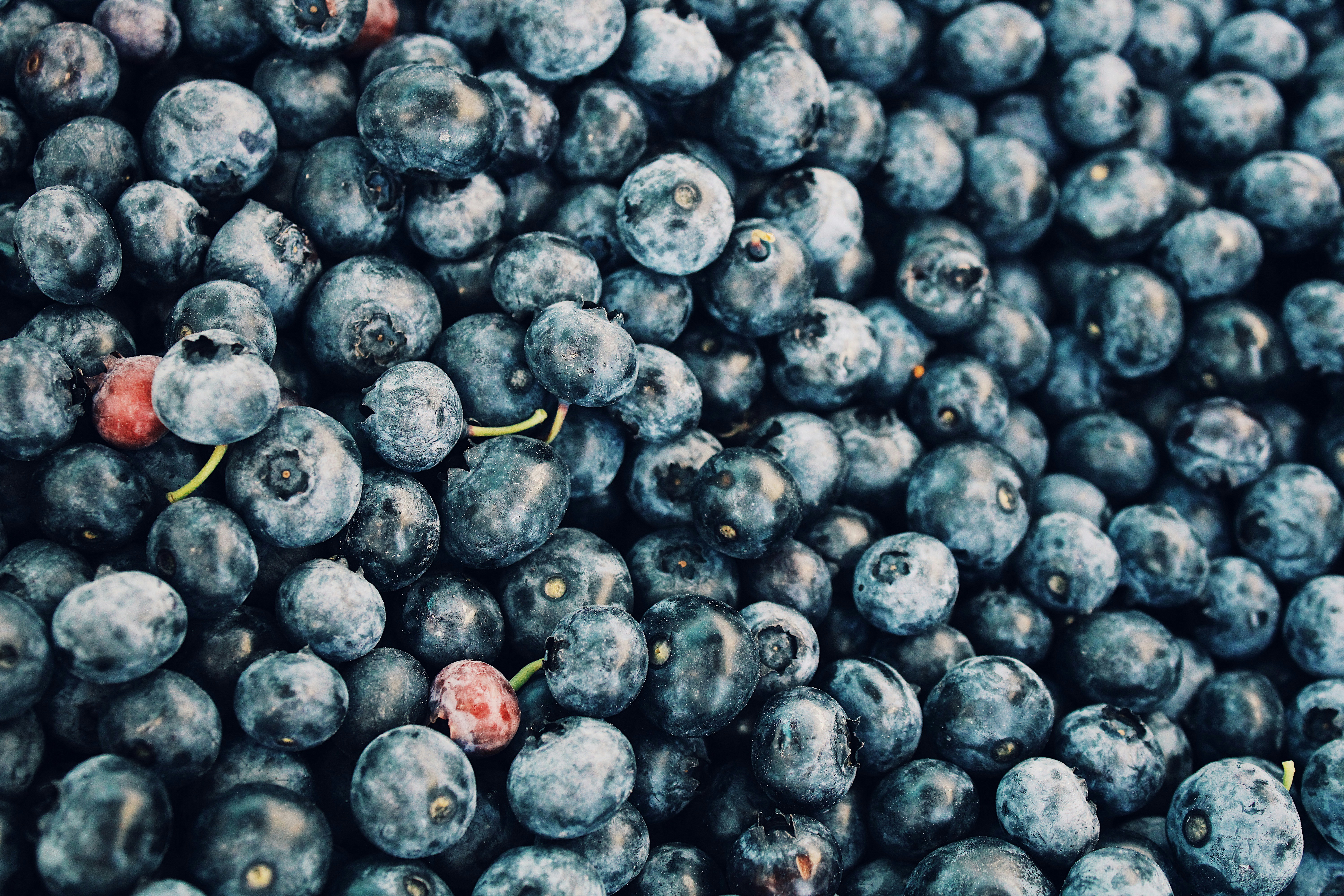 close up photo of black round fruits