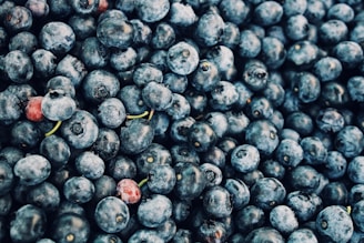 A close-up view of a pile of fresh blueberries with a few red berries interspersed. The fruits are plump and exhibit a range of blue hues, some with slight frost on their surface.