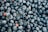 A close-up view of a pile of fresh blueberries with a few red berries interspersed. The fruits are plump and exhibit a range of blue hues, some with slight frost on their surface.