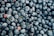 A close-up view of a pile of fresh blueberries with a few red berries interspersed. The fruits are plump and exhibit a range of blue hues, some with slight frost on their surface.
