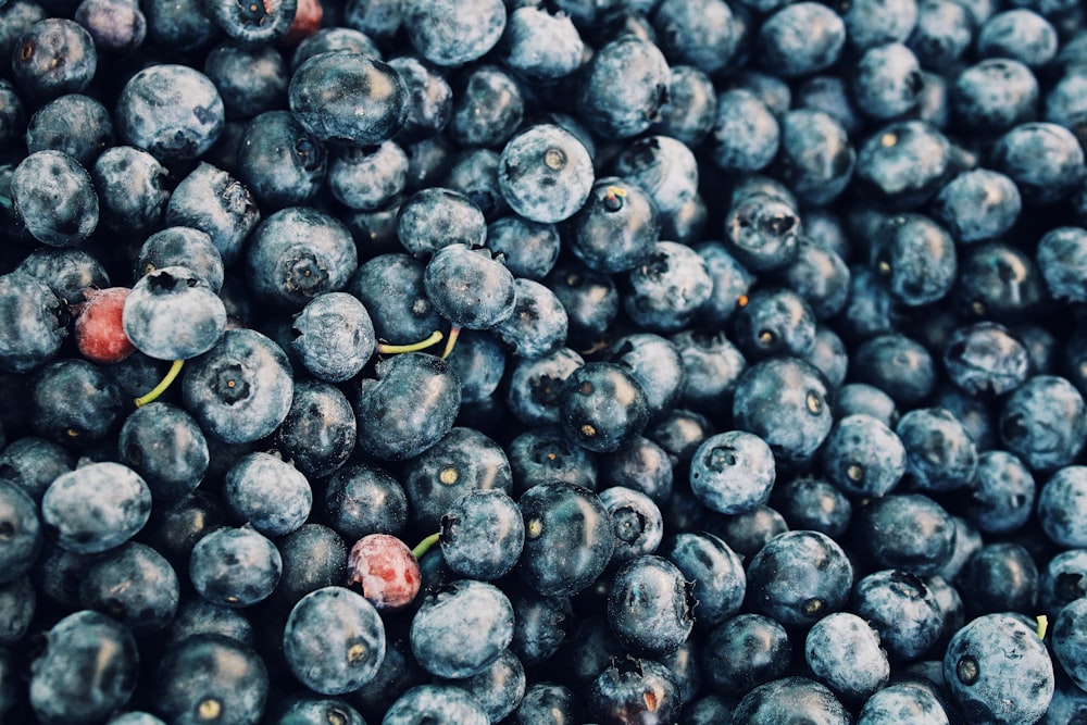 close up photo of black round fruits