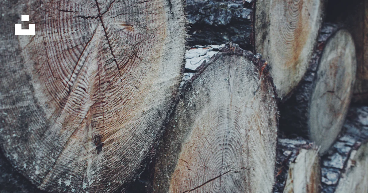 Brown and gray wood log photo – Free Wood Image on Unsplash