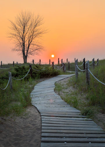 a winding path leading toward the sunrise