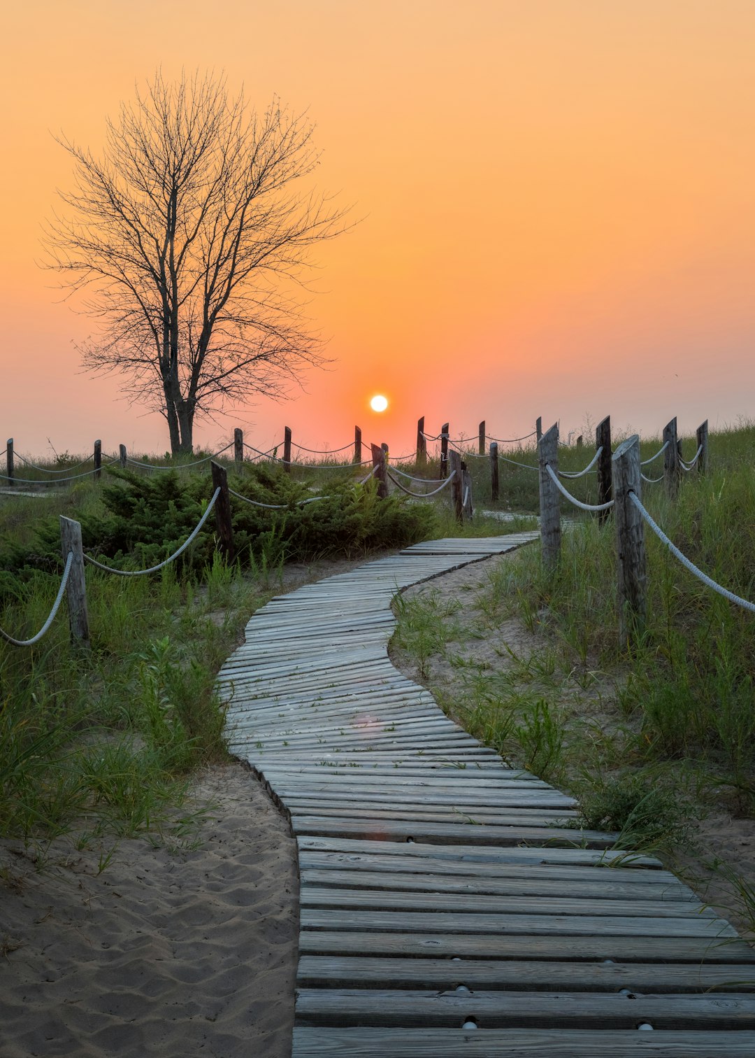 brown wooden pathway between green grass field during sunset