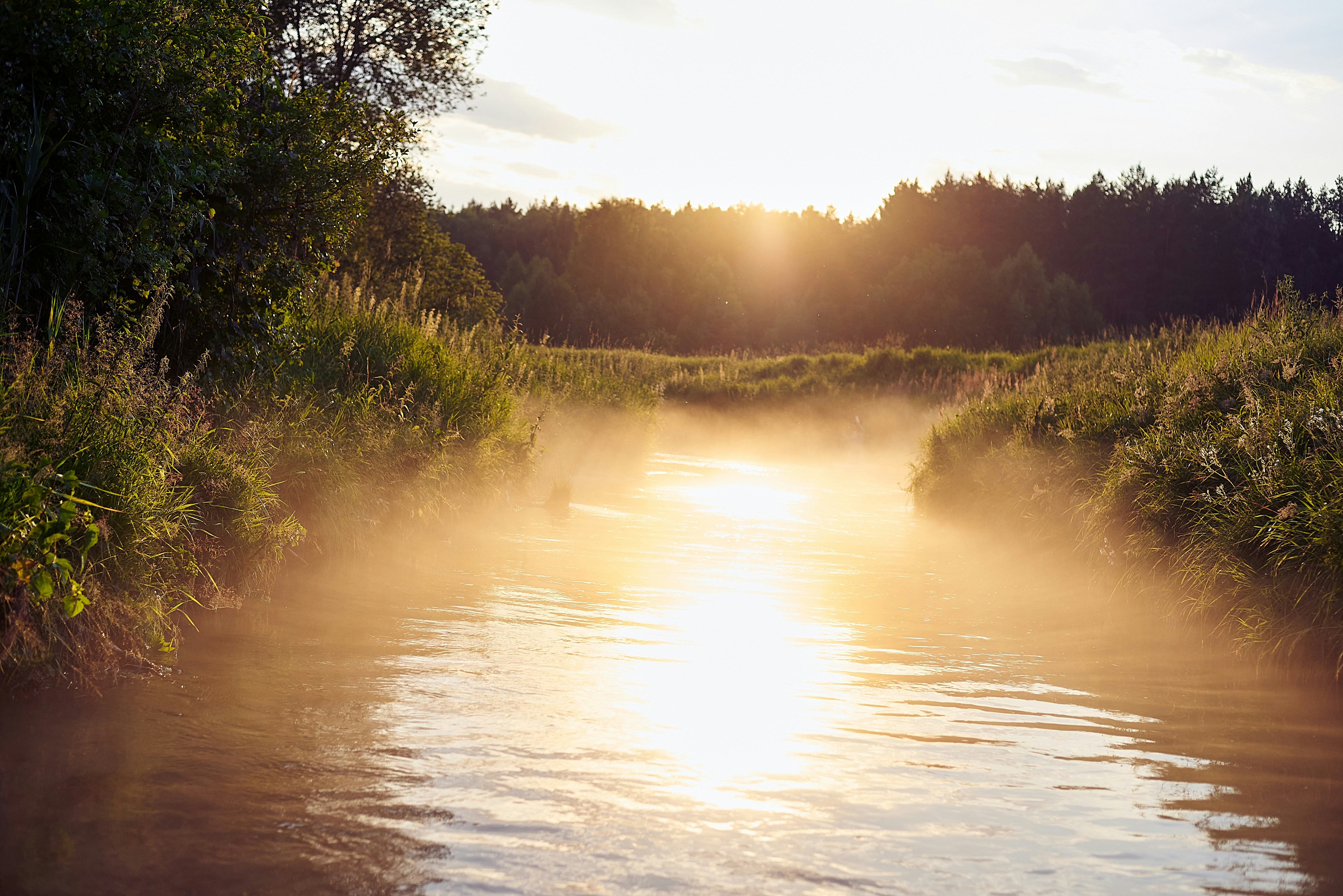 Lush river scenery with golden morning light on water
