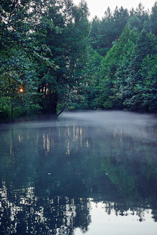 A serene morning mist hovering over a calm Polesie wetland lake surrounded by lush green reeds.