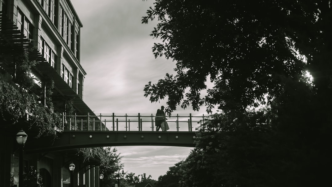 grayscale photo of trees near building