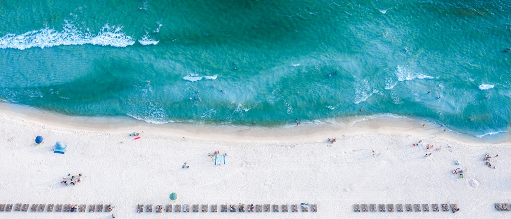 people on beach during daytime