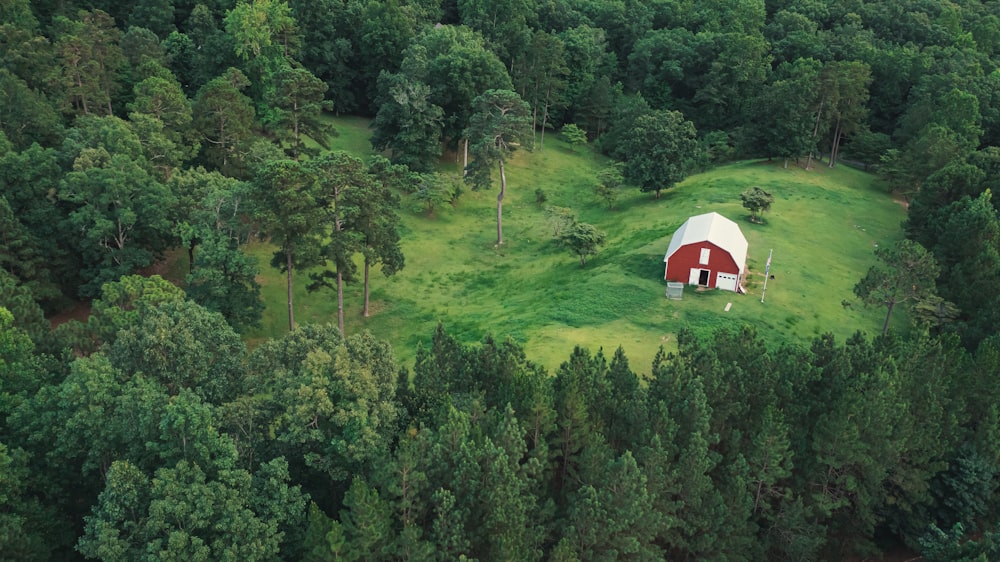 Tienda de campaña de la cúpula blanca en el campo de hierba verde