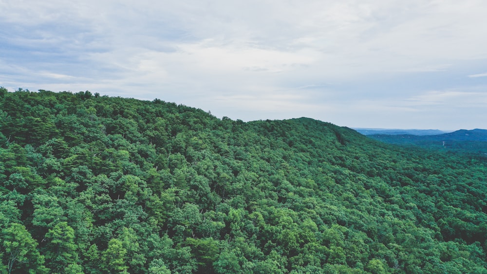 green trees on mountain under white clouds during daytime