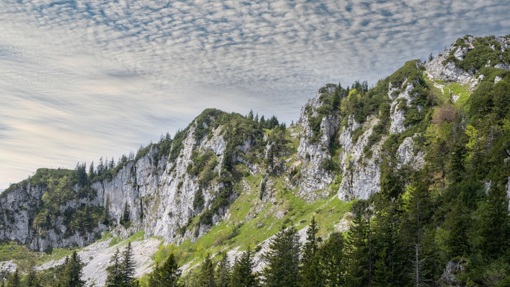 green and gray mountain under white sky during daytime