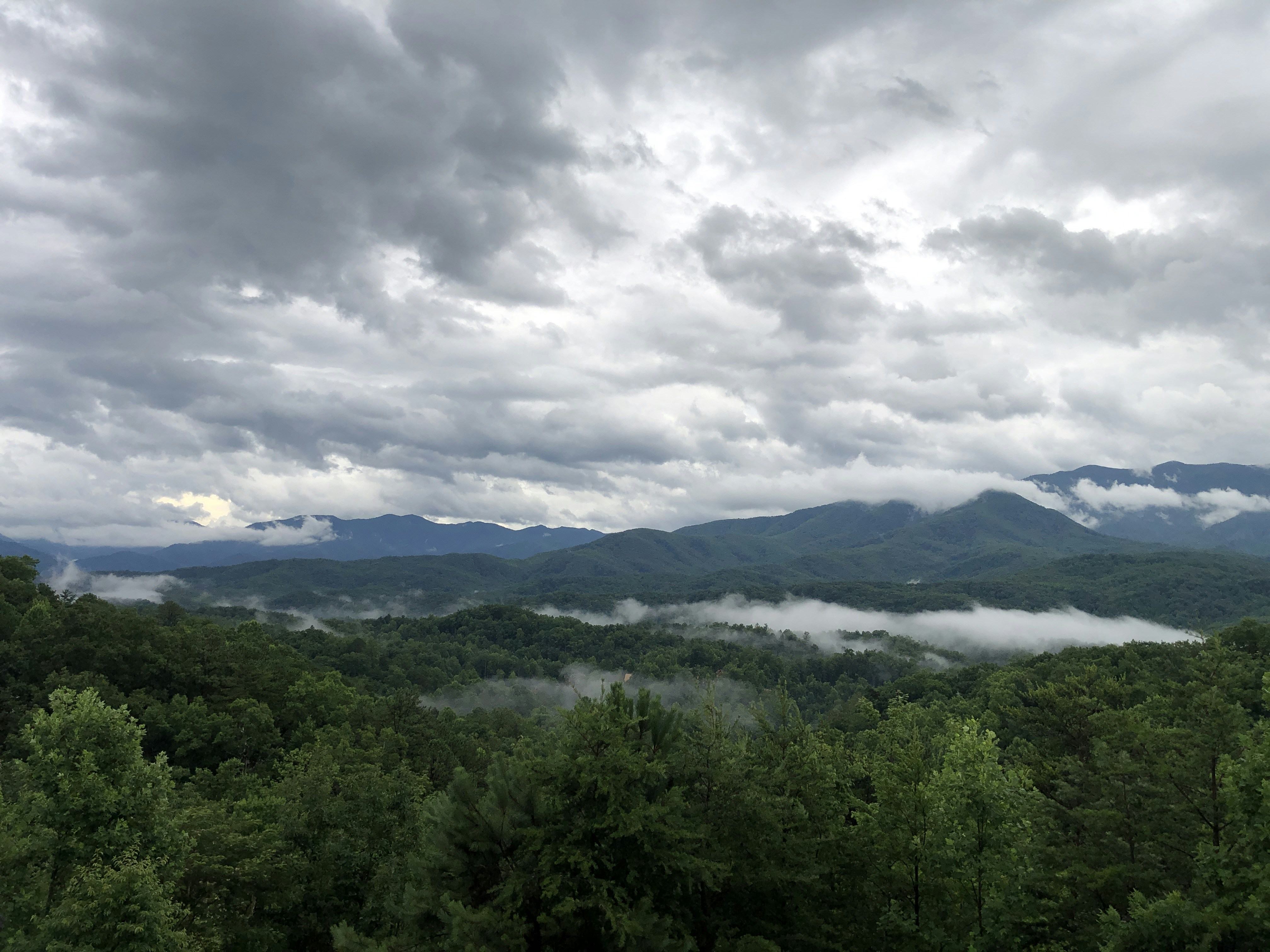 Des arbres verts et des montagnes sous des nuages blancs