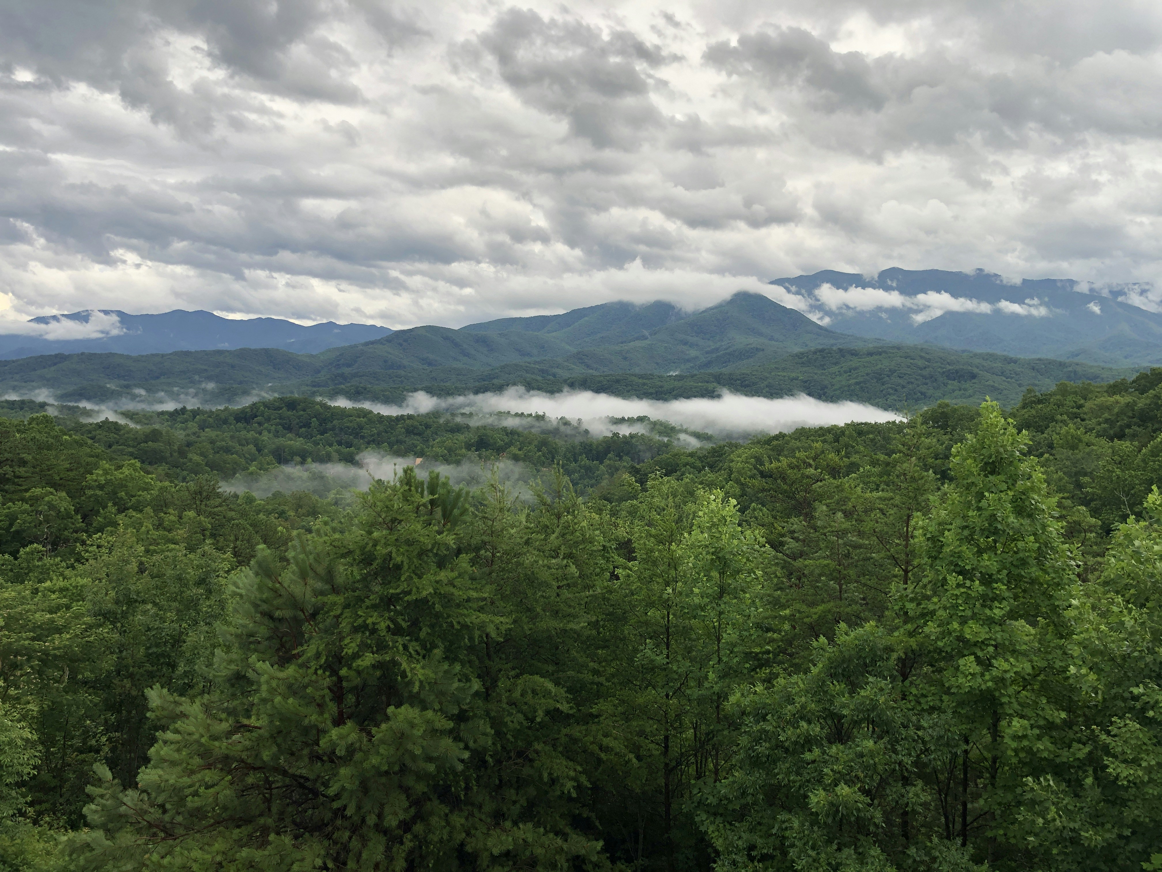 arbres verts près de la montagne sous les nuages blancs pendant la journée