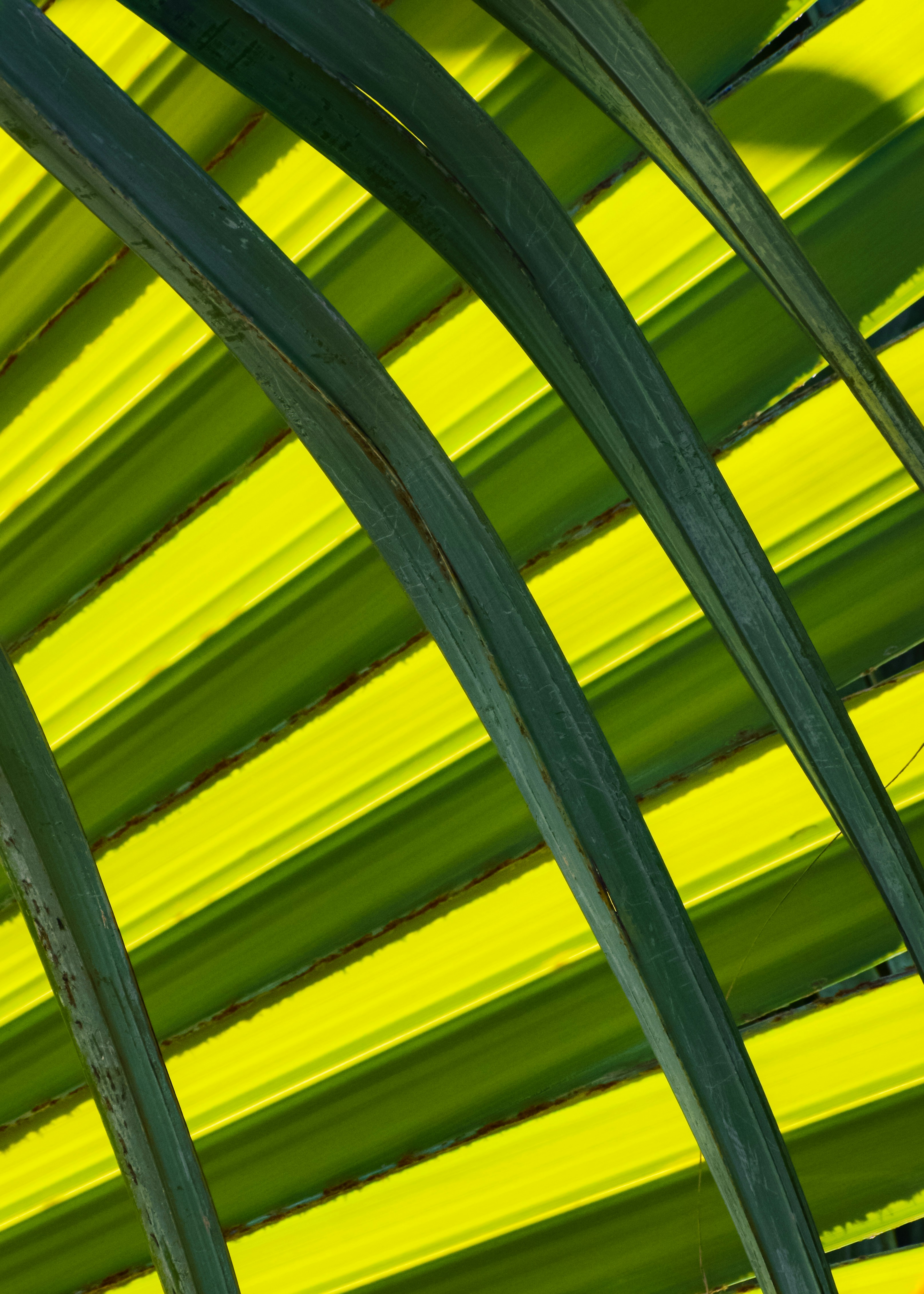 Photo by navi_photography