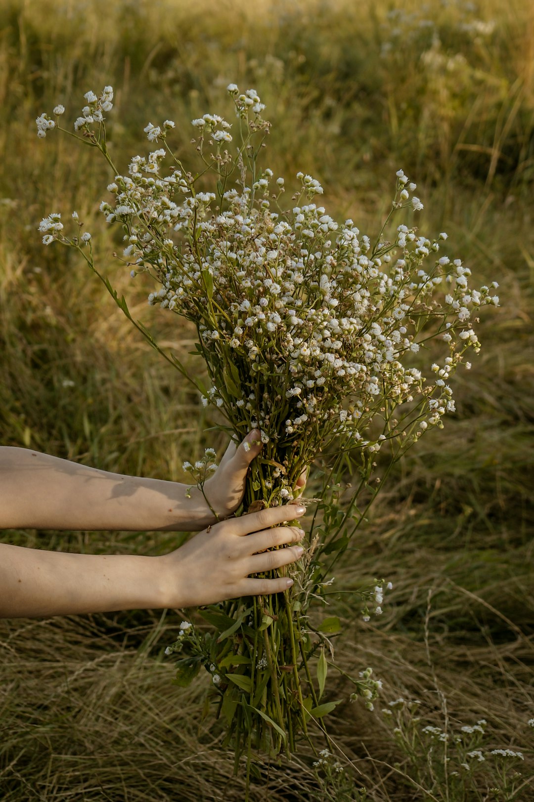 person holding white flowers during daytime