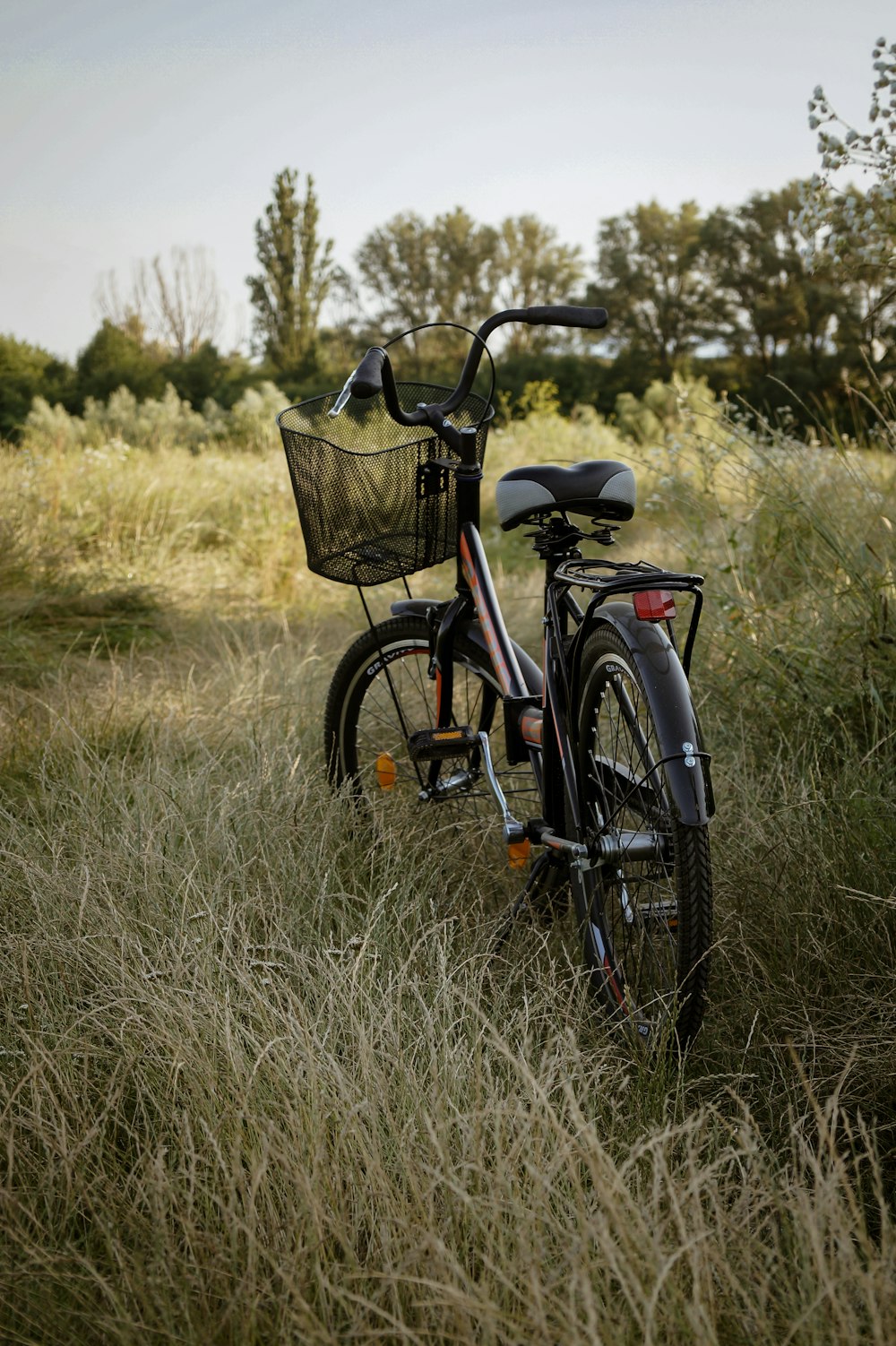 black commuter bike on green grass field during daytime