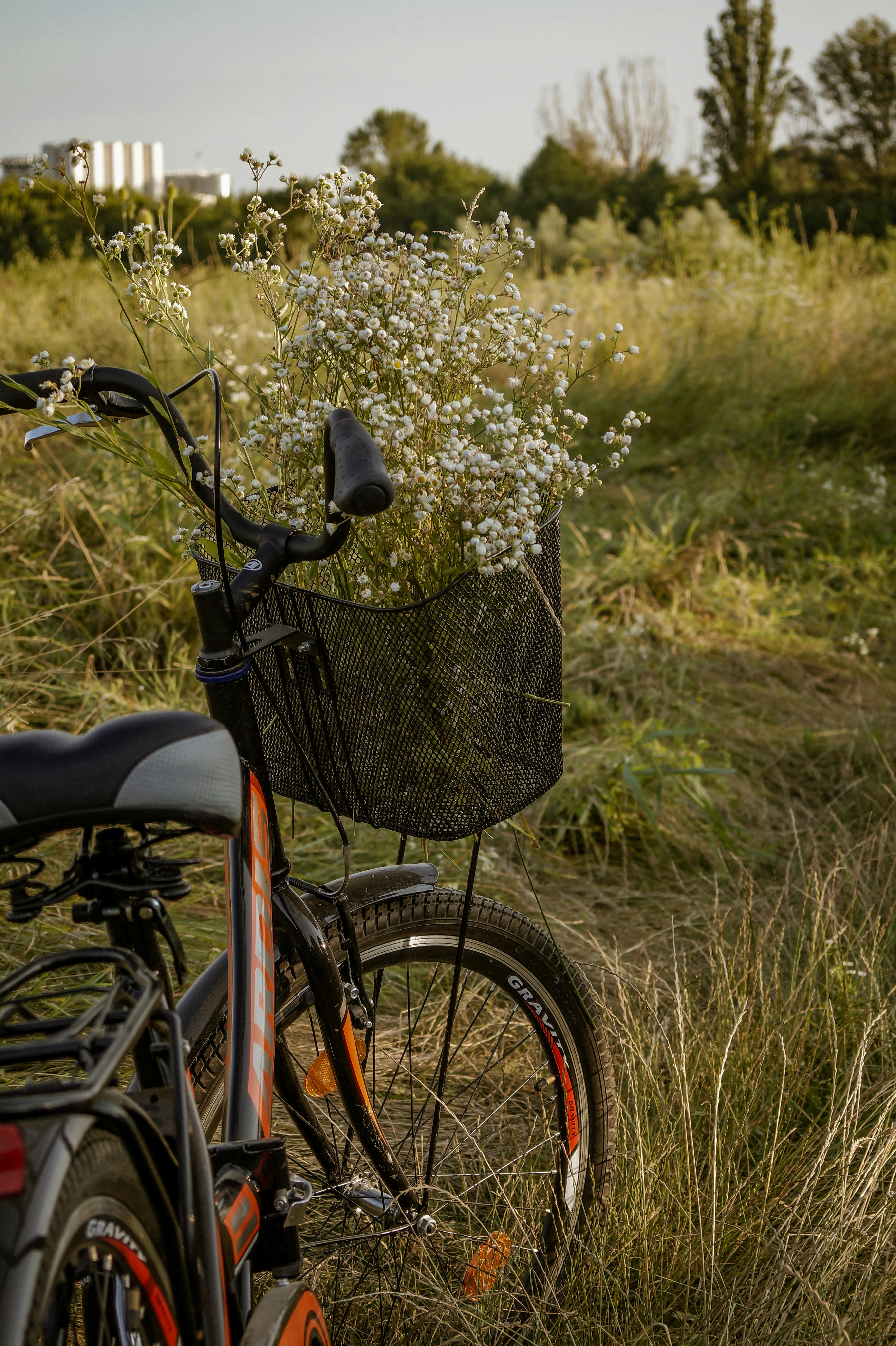 Photo by valentine_ivanova