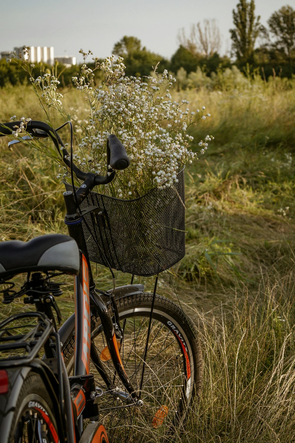 red and black commuter bike parked on green grass field during daytime