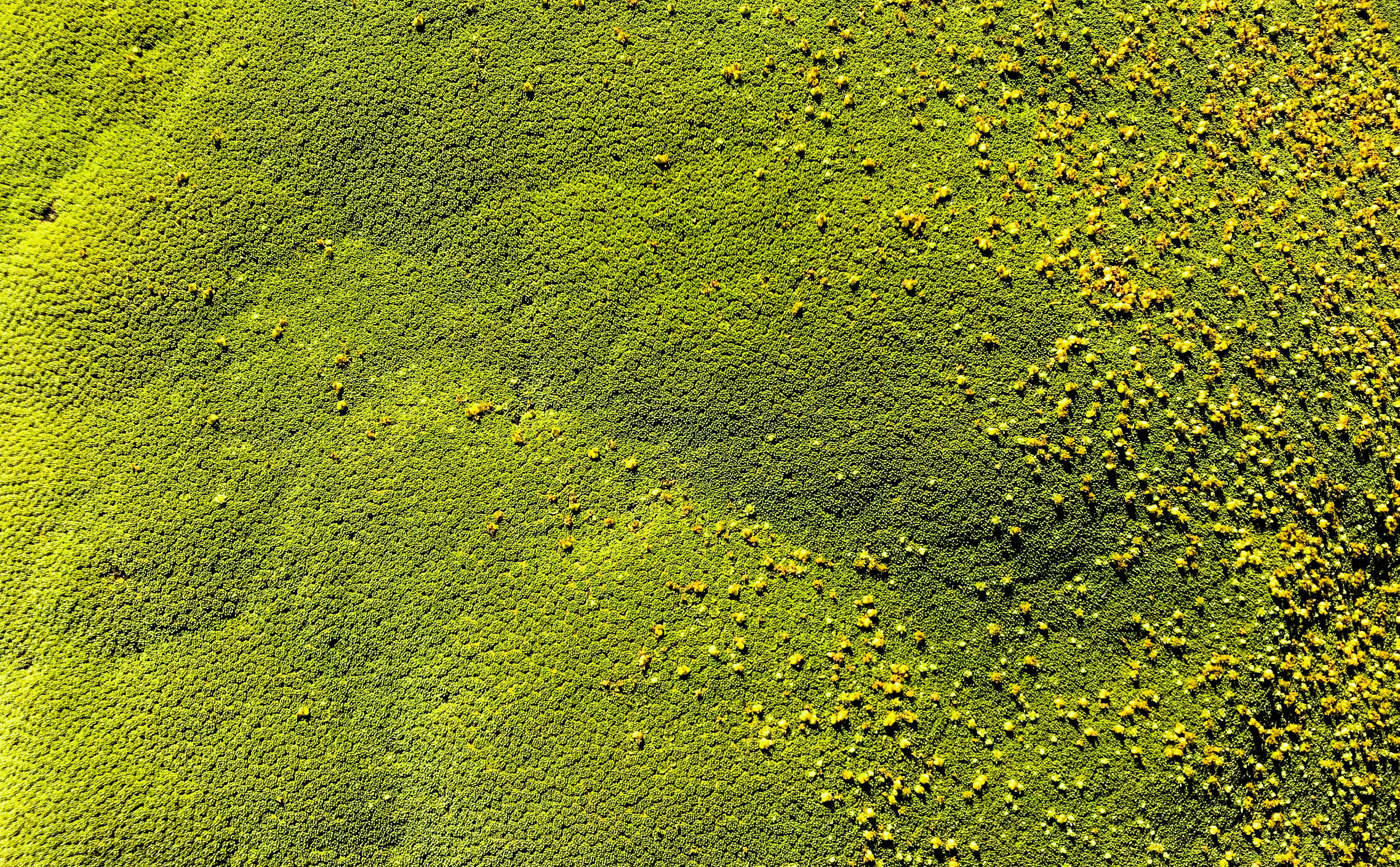 Photo by eddiekiszka