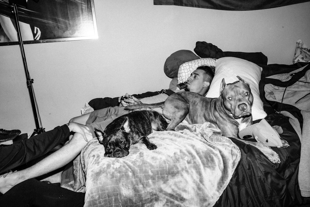 grayscale photography of 2 dogs lying on bed