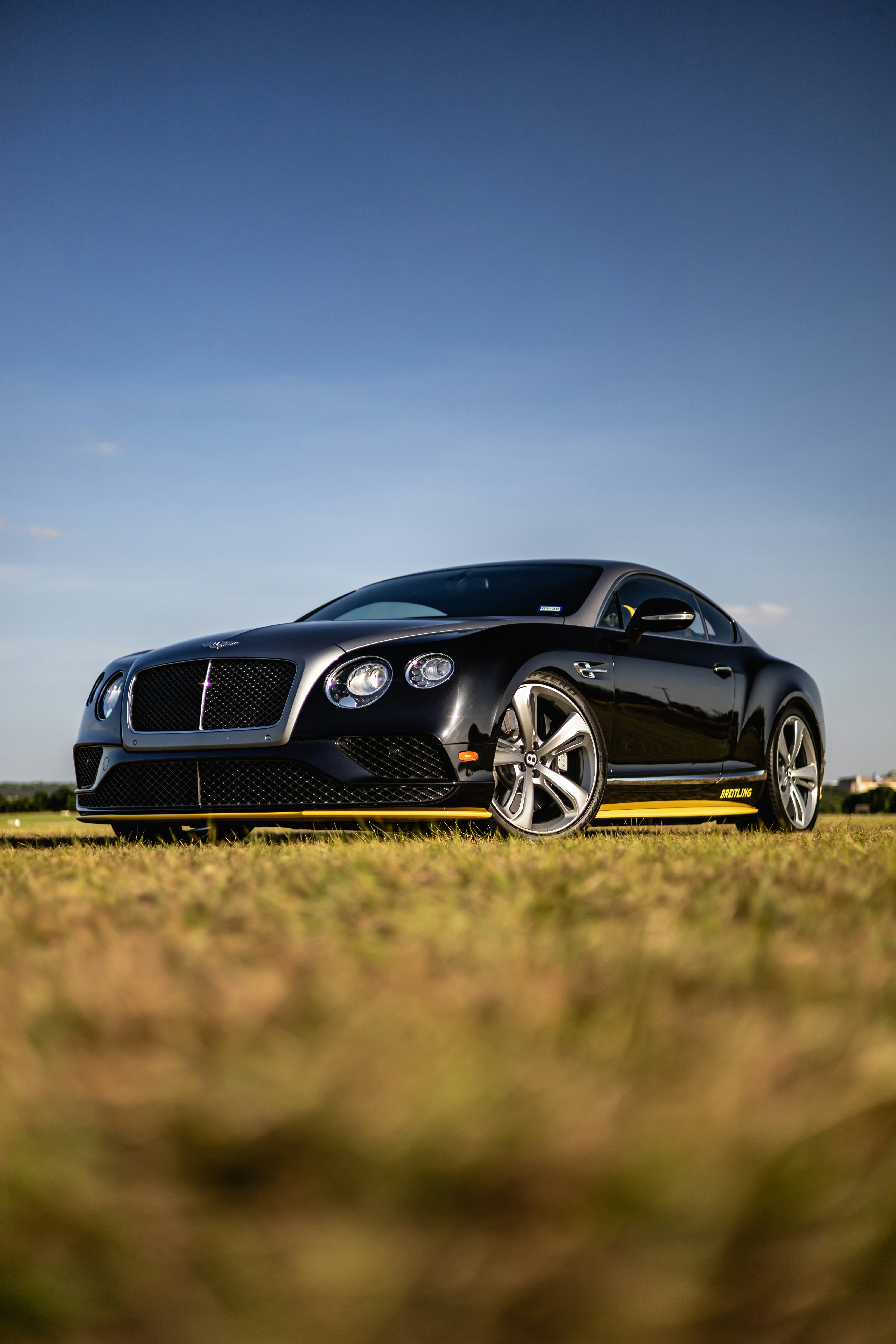 Photo by lonestarexotic