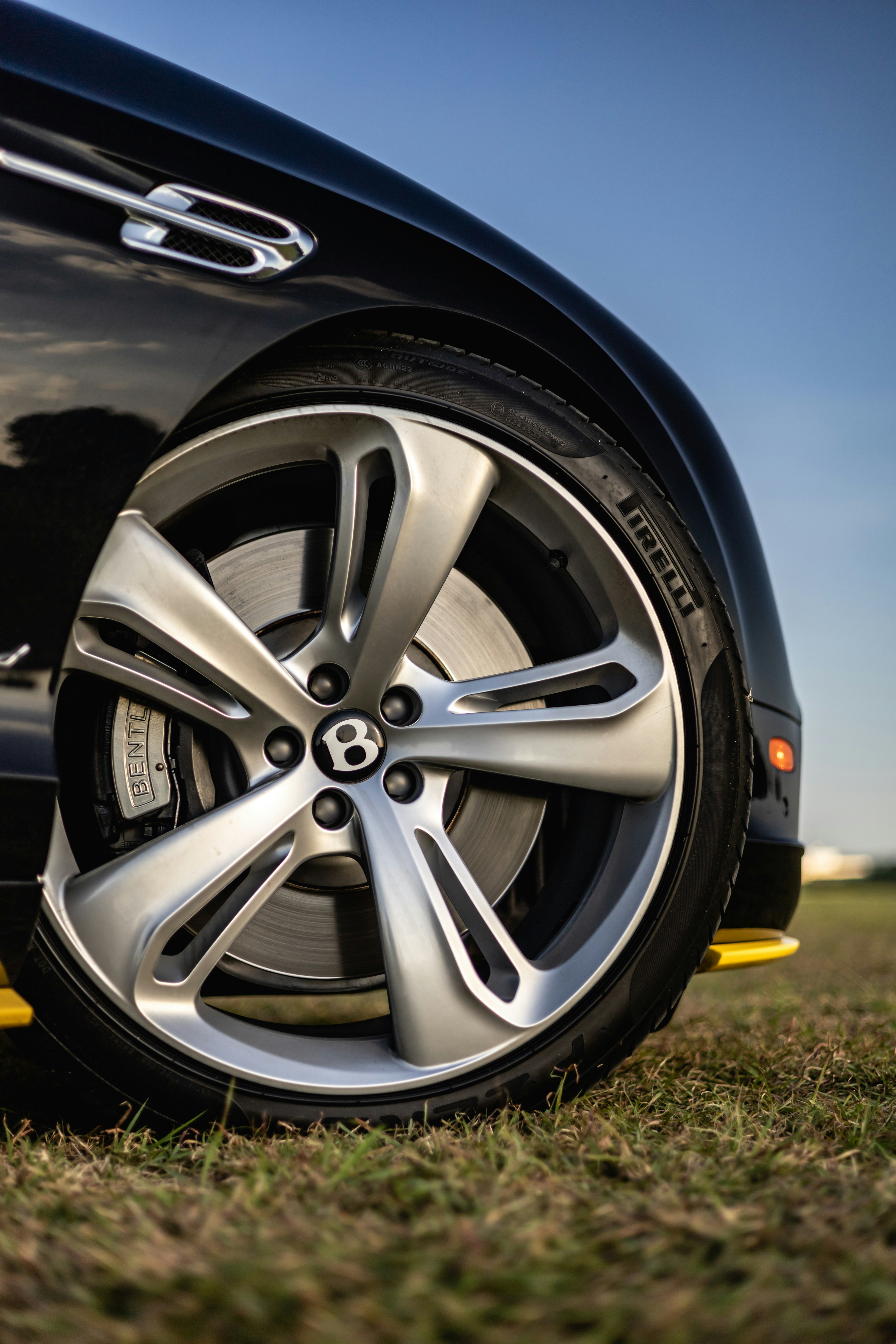 Photo by lonestarexotic