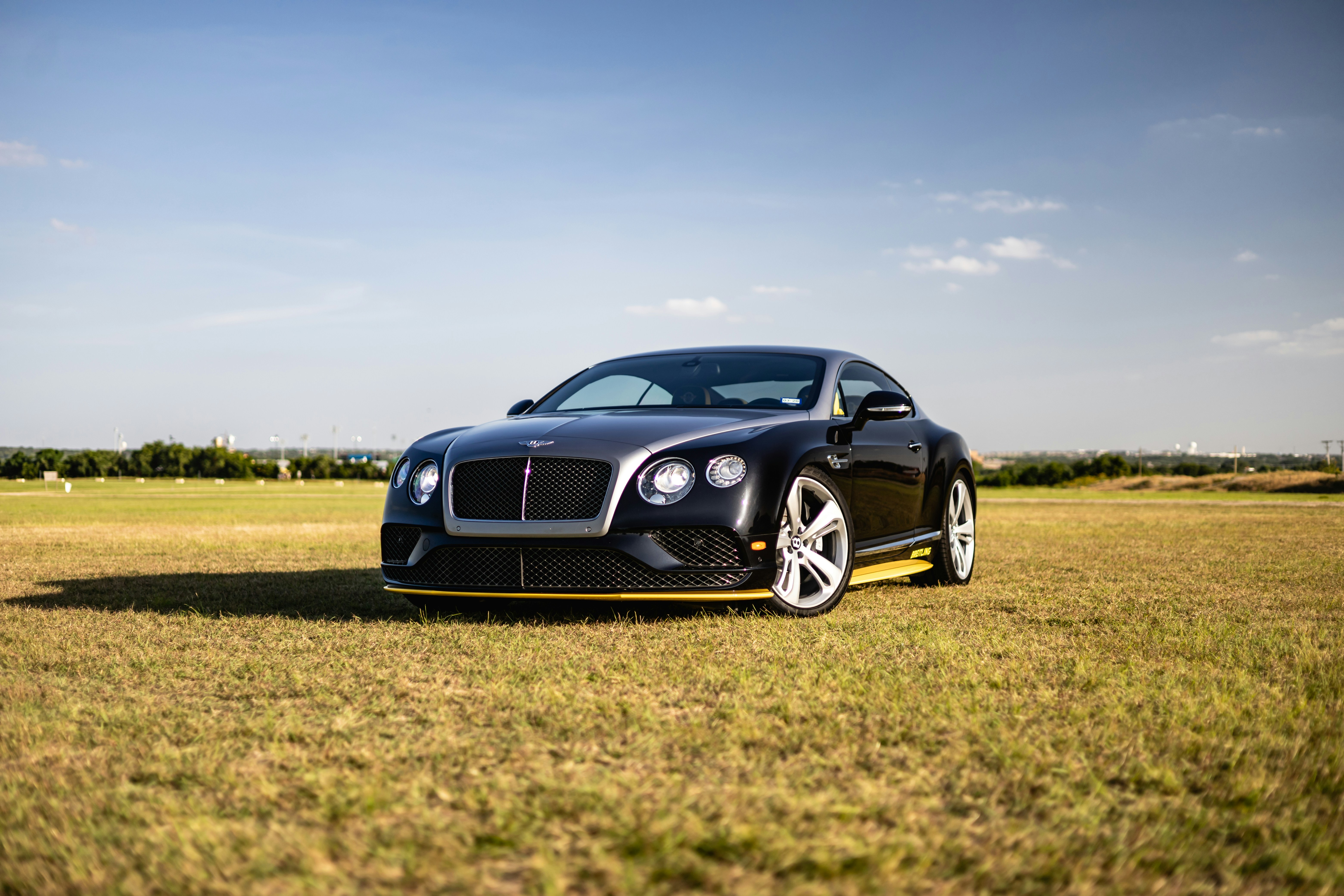 Photo by lonestarexotic