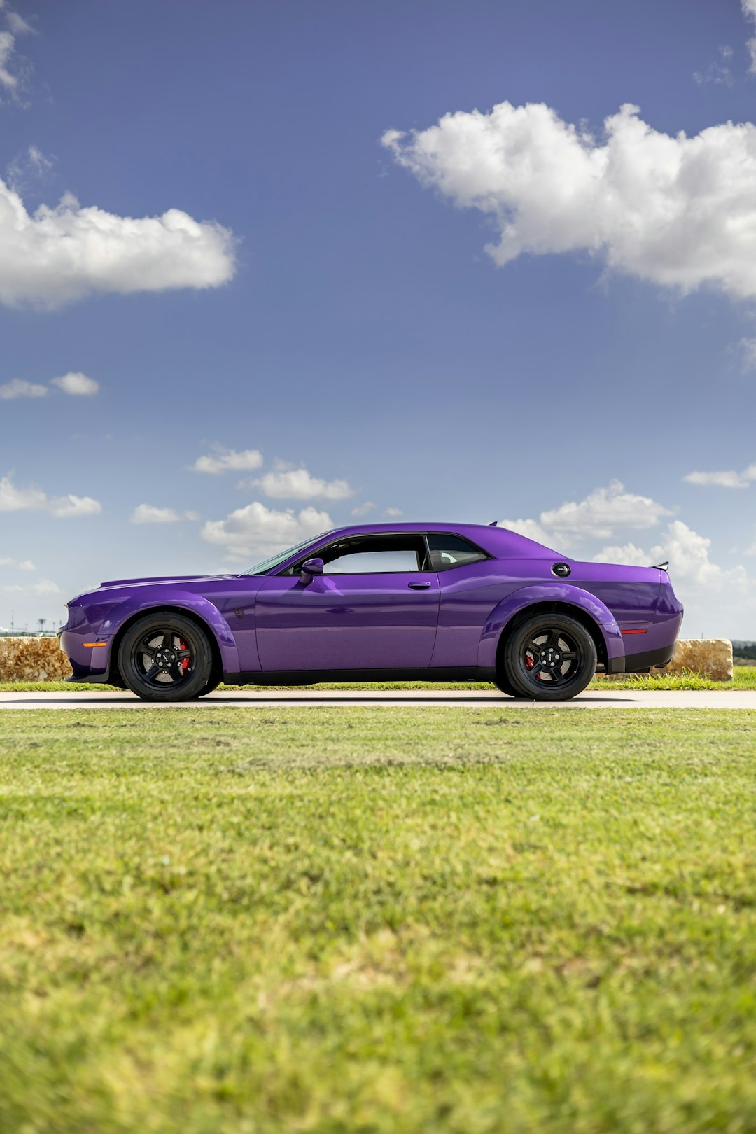 purple coupe on green grass field under blue sky during daytime