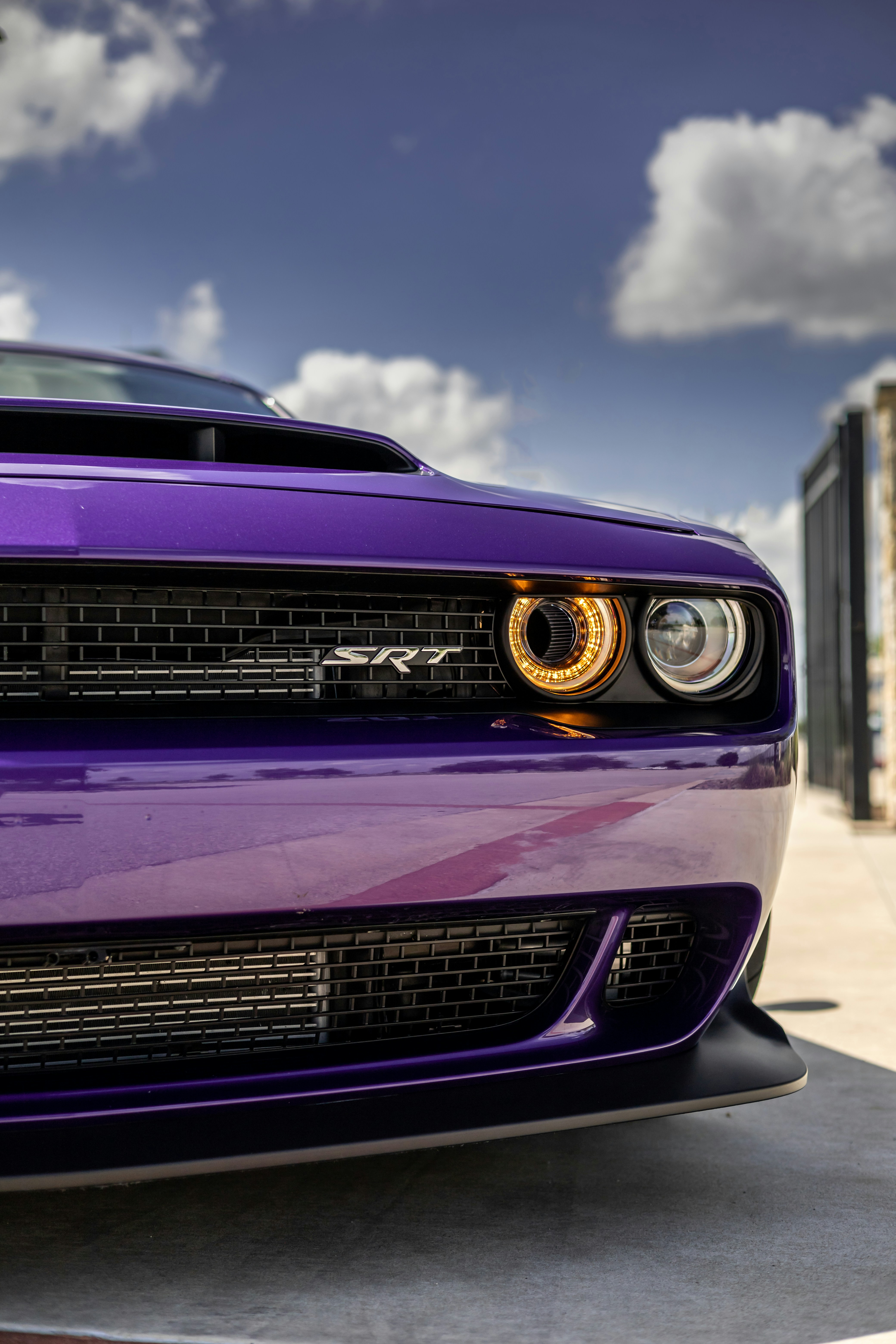 Photo by lonestarexotic