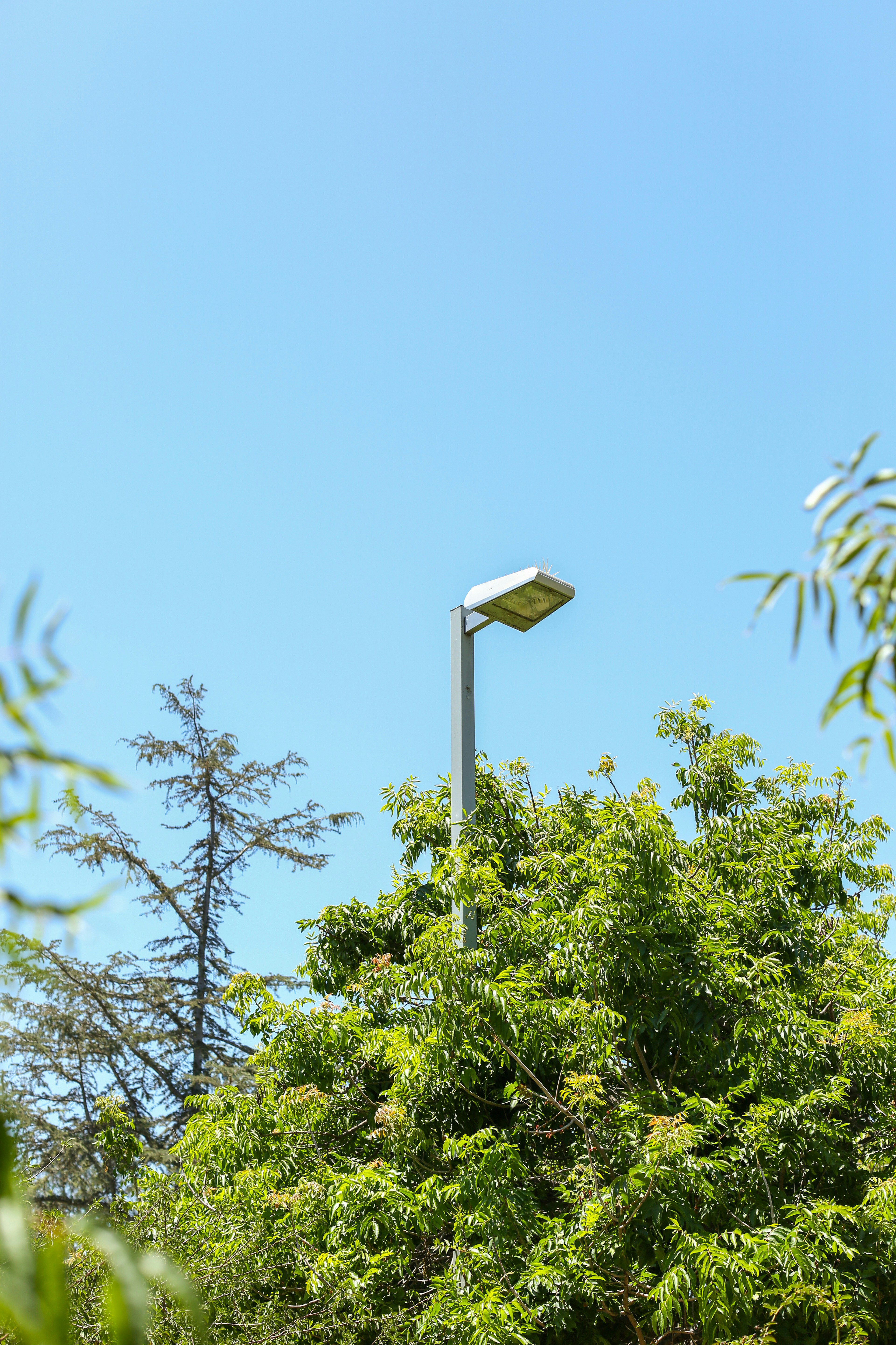 Photo by giorgiotrovato