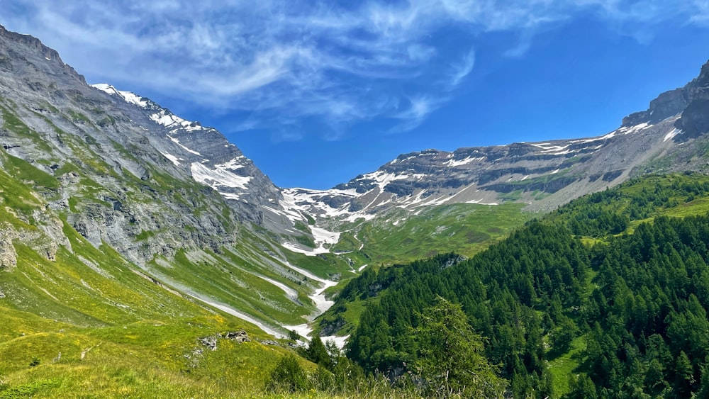 green trees on mountain under blue sky during daytime