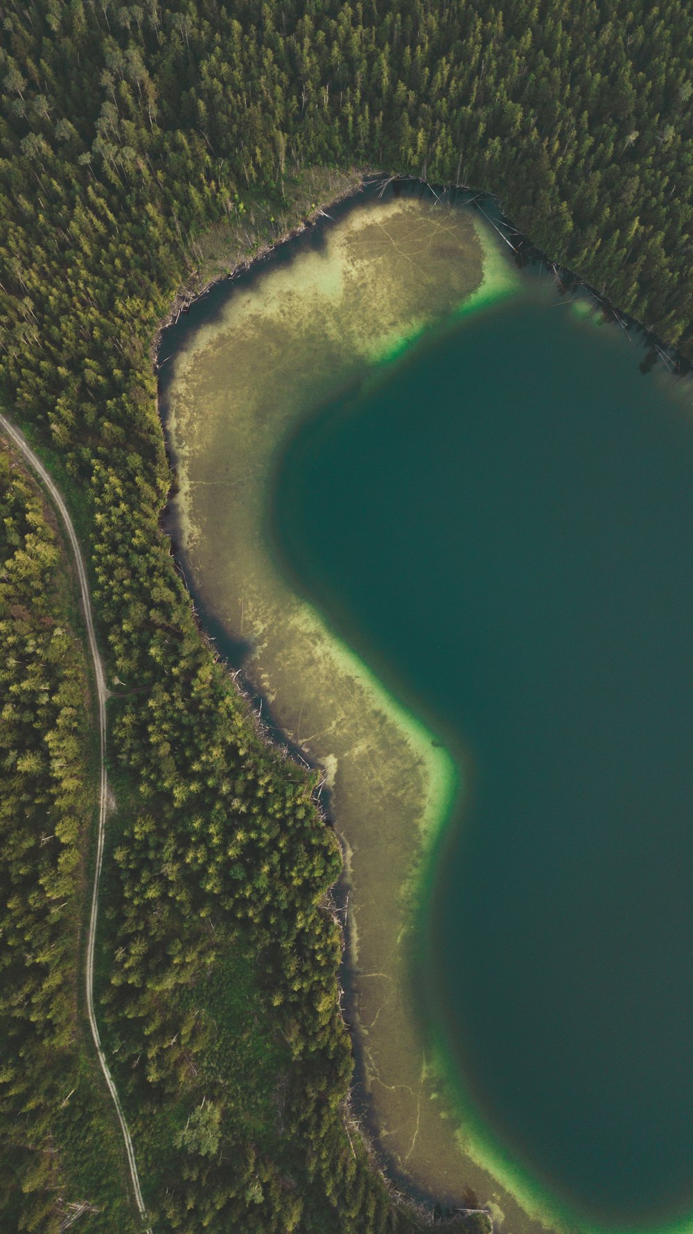 aerial view of green and white river