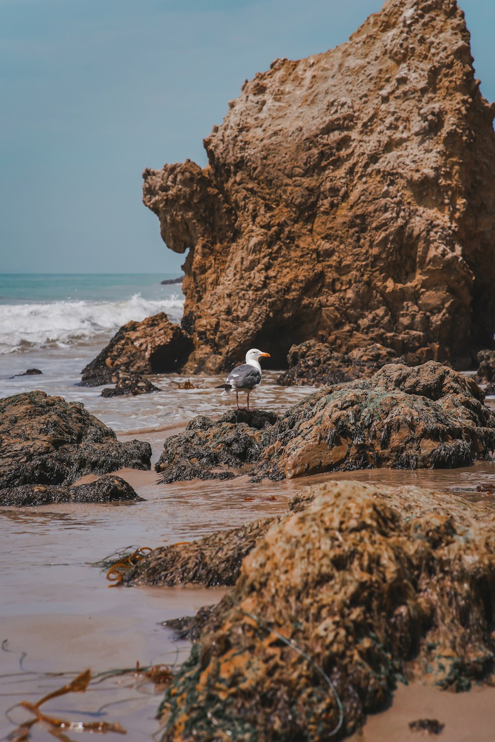 Persona con camisa blanca sentada en una roca cerca del cuerpo de agua durante el día