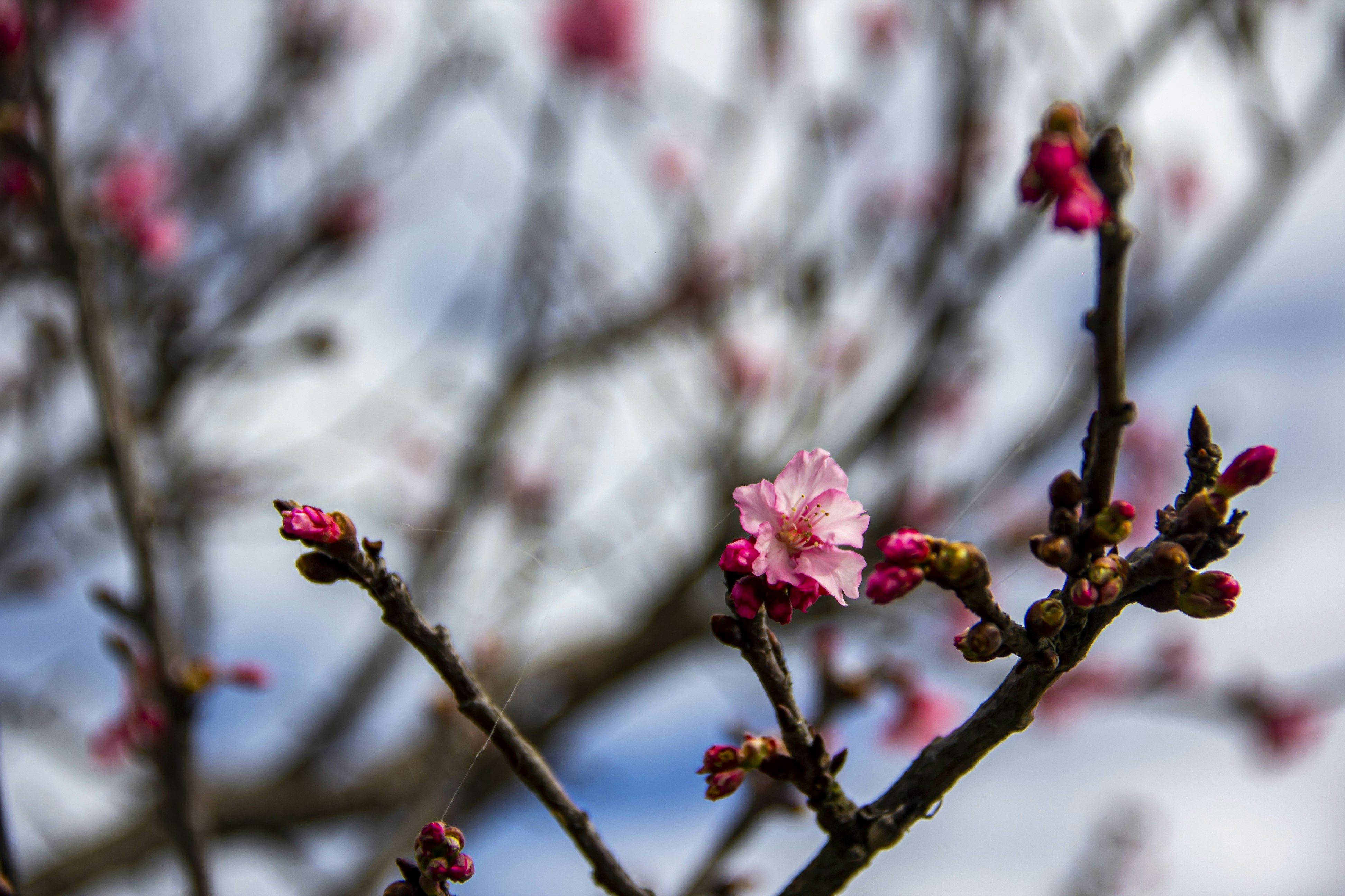 Photo by weerawee008