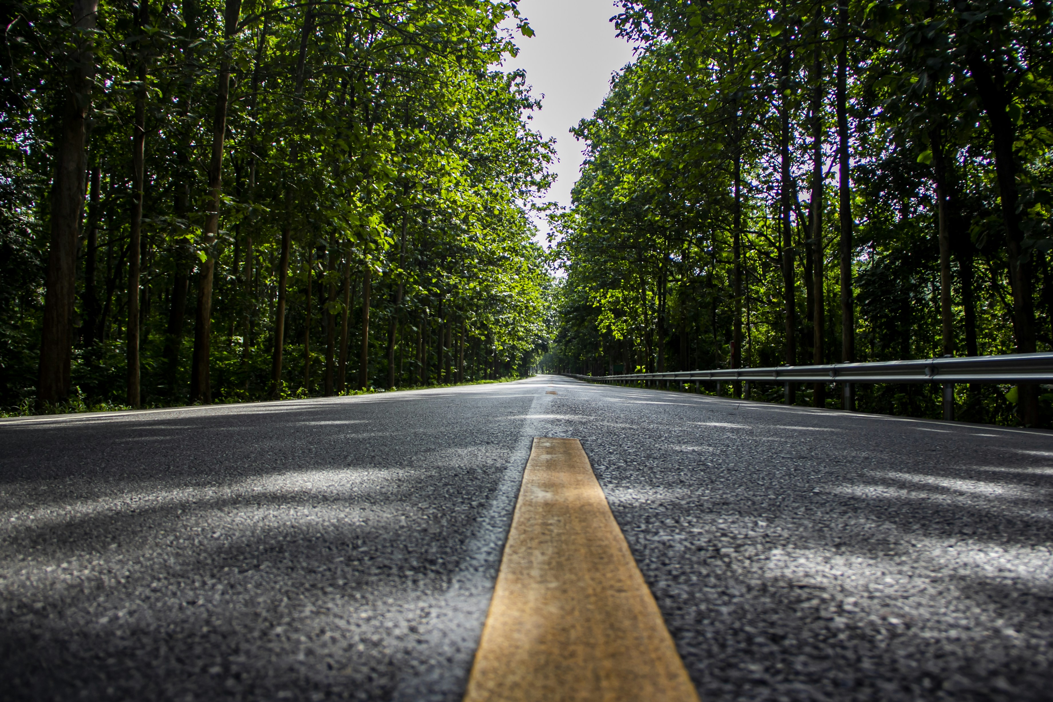 Photo by weerawee008