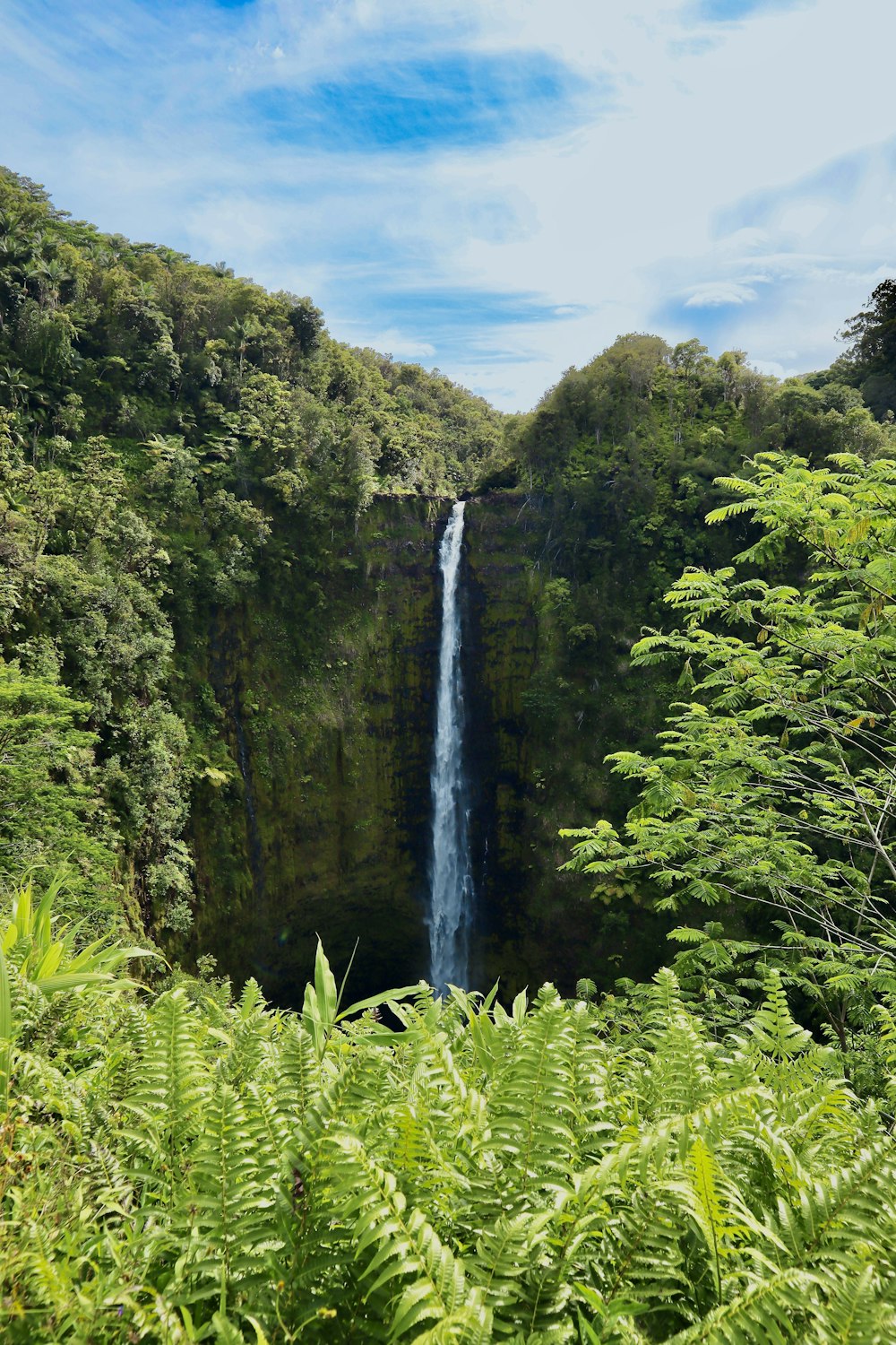 waterfalls in the middle of green trees under blue sky during daytime