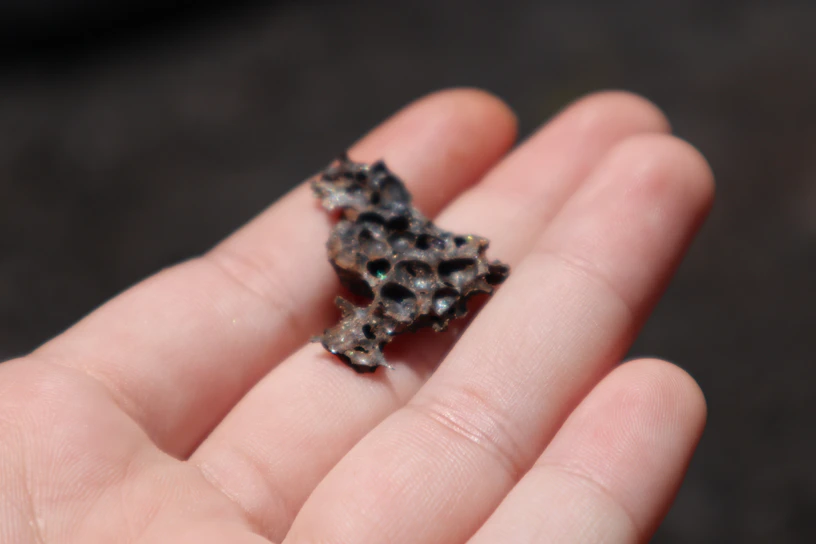 Close-up of a hand holding a genuine staurolite fairy cross rock with intricate natural patterns.