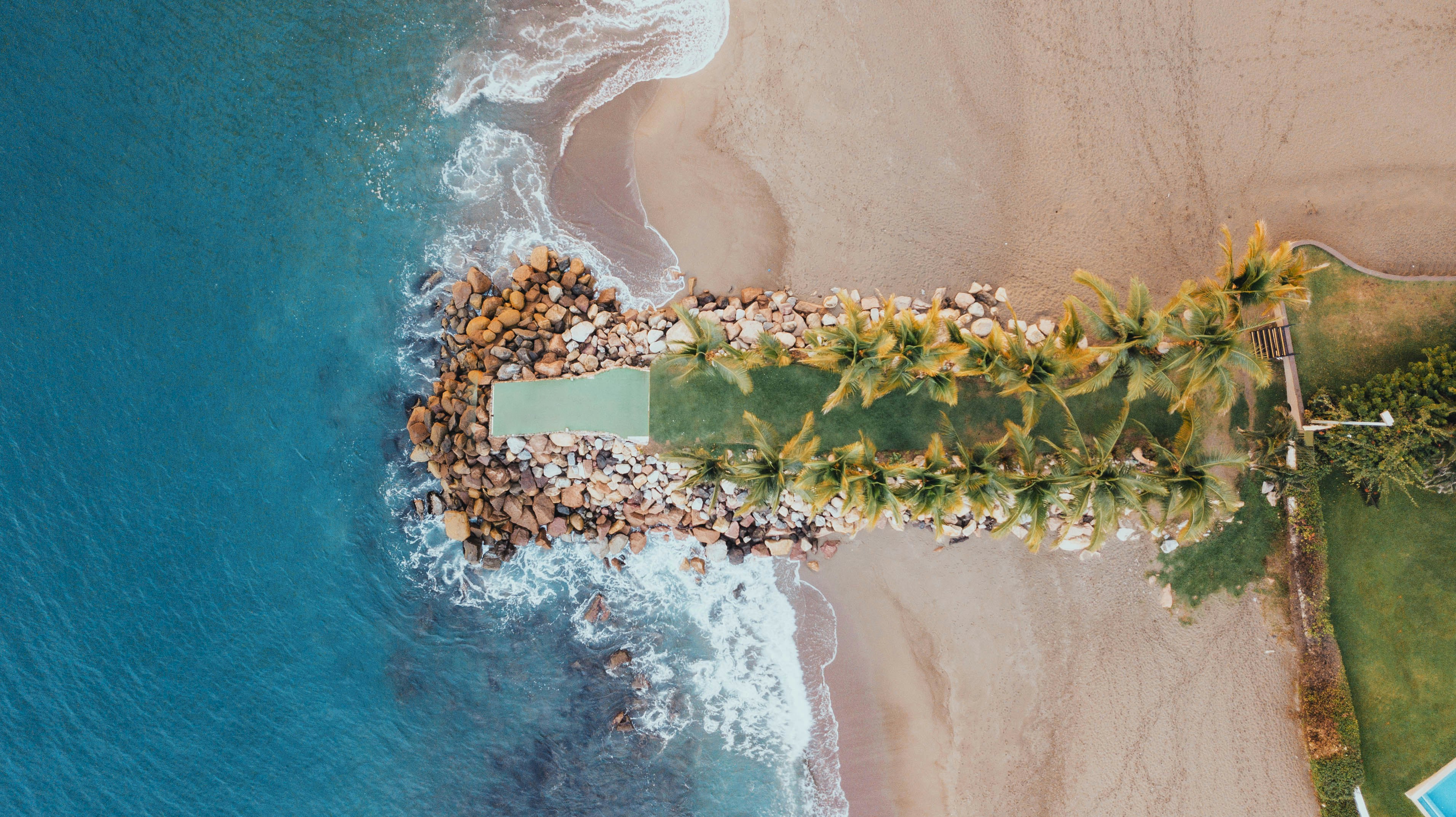 Vue aérienne d’arbres verts sur la plage pendant la journée