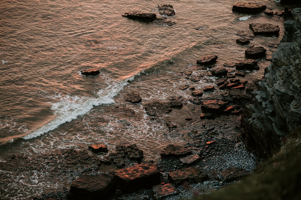 brown rocky shore during daytime