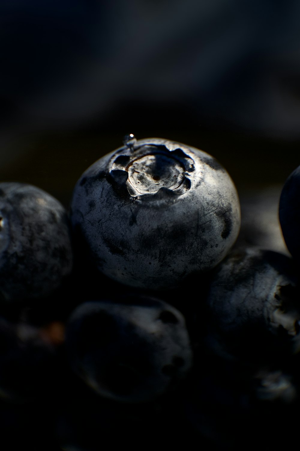 接写の黒い丸い果実