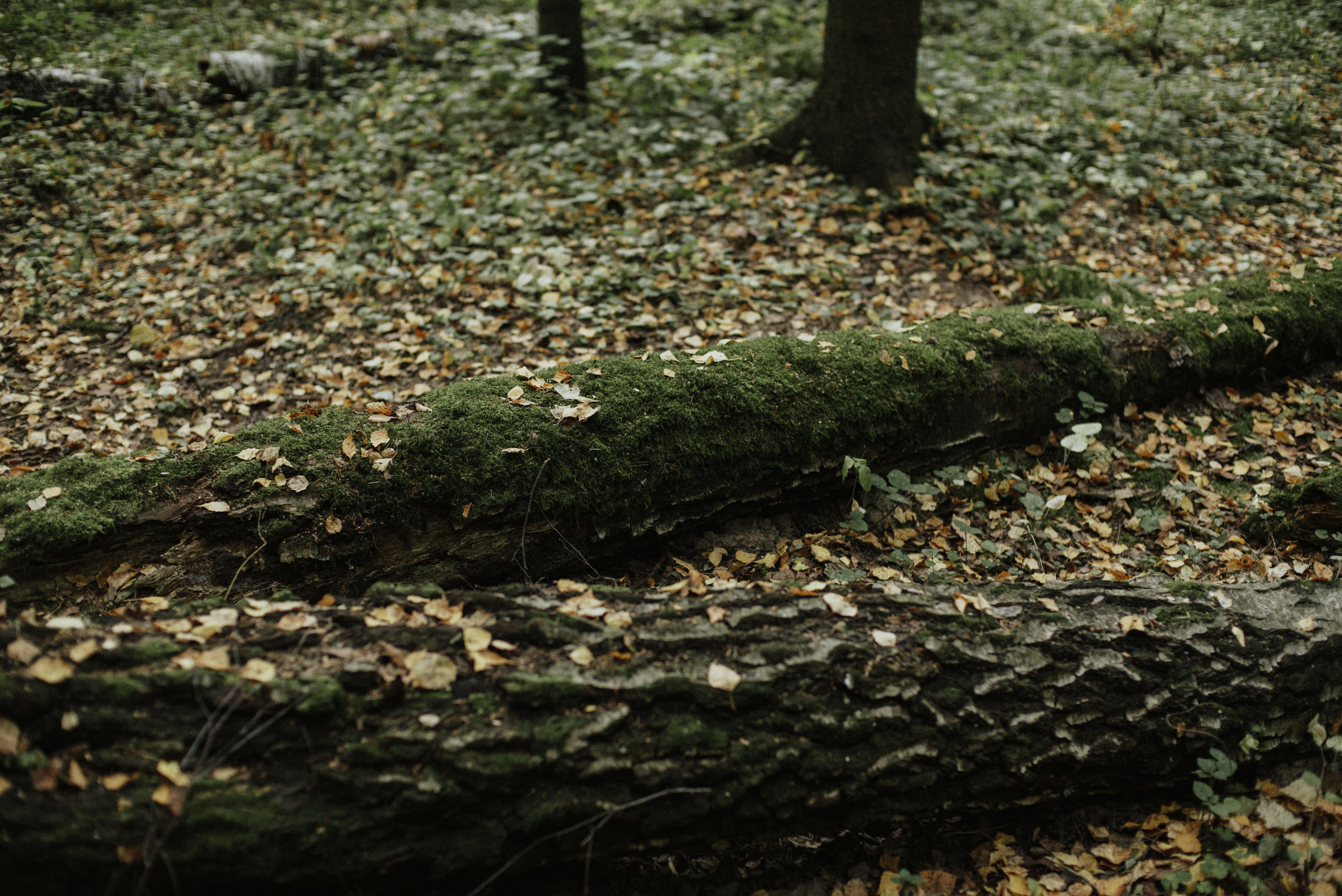 Photo by yuli_superson