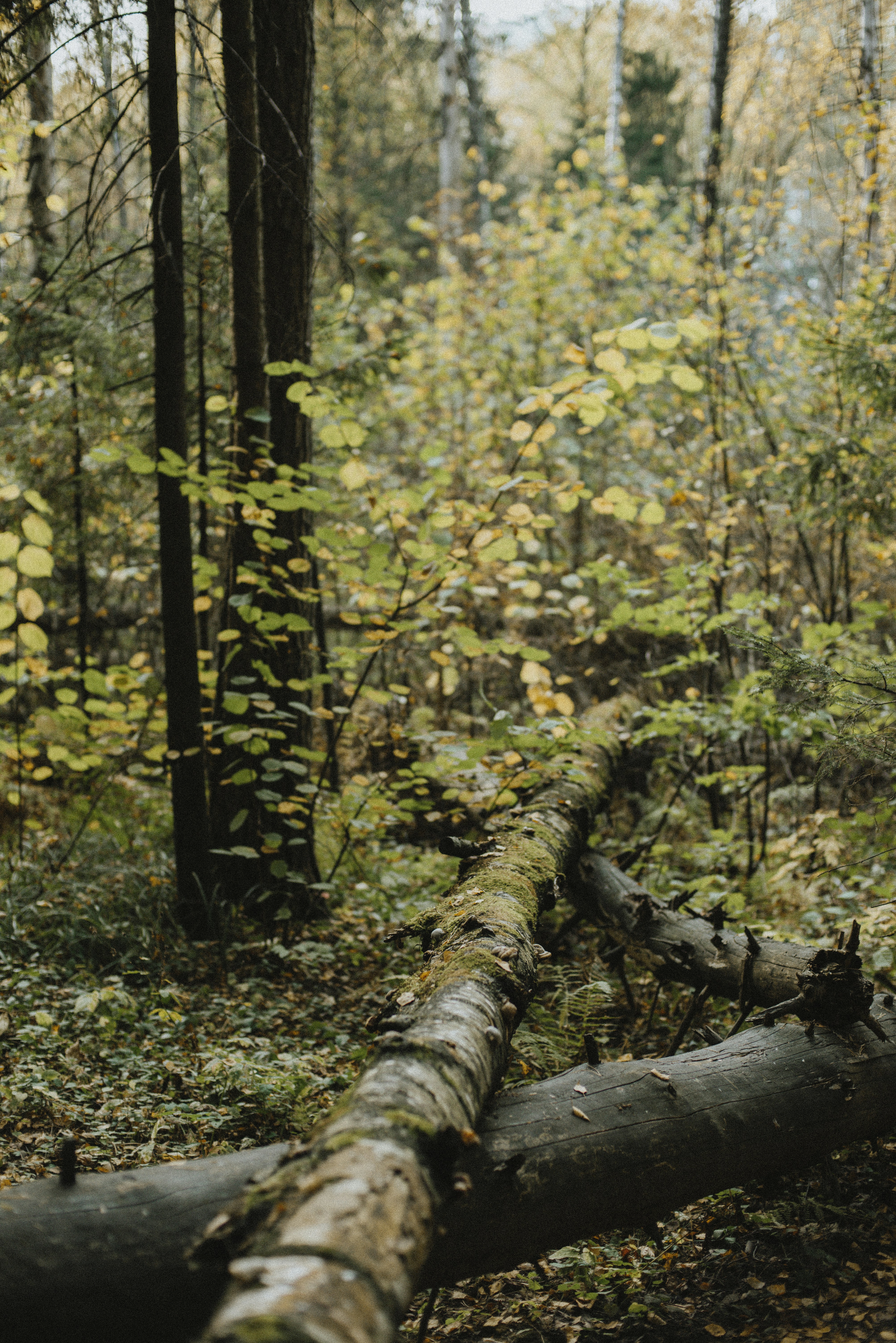 Photo by yuli_superson