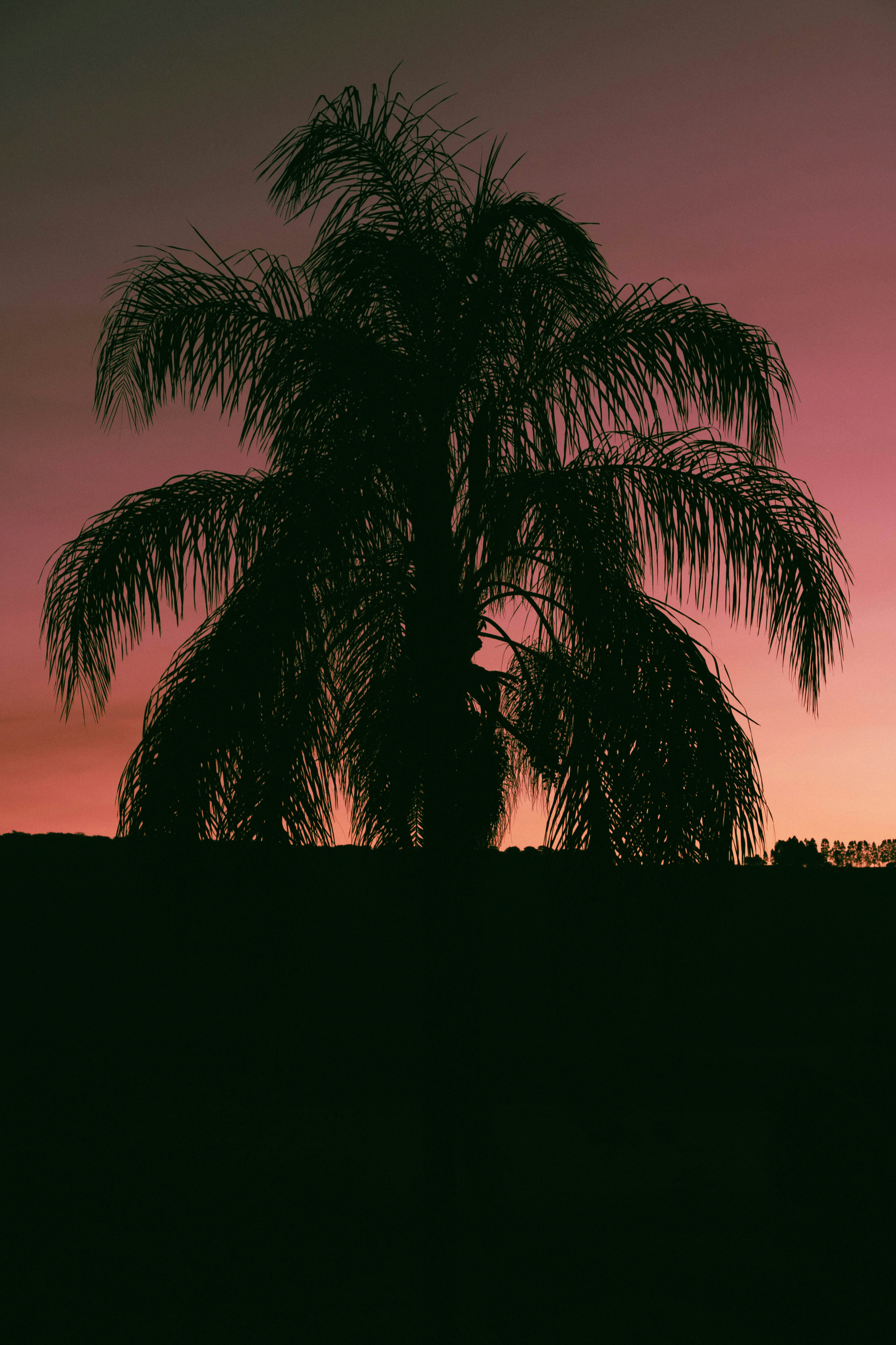 Photo by leozmartins