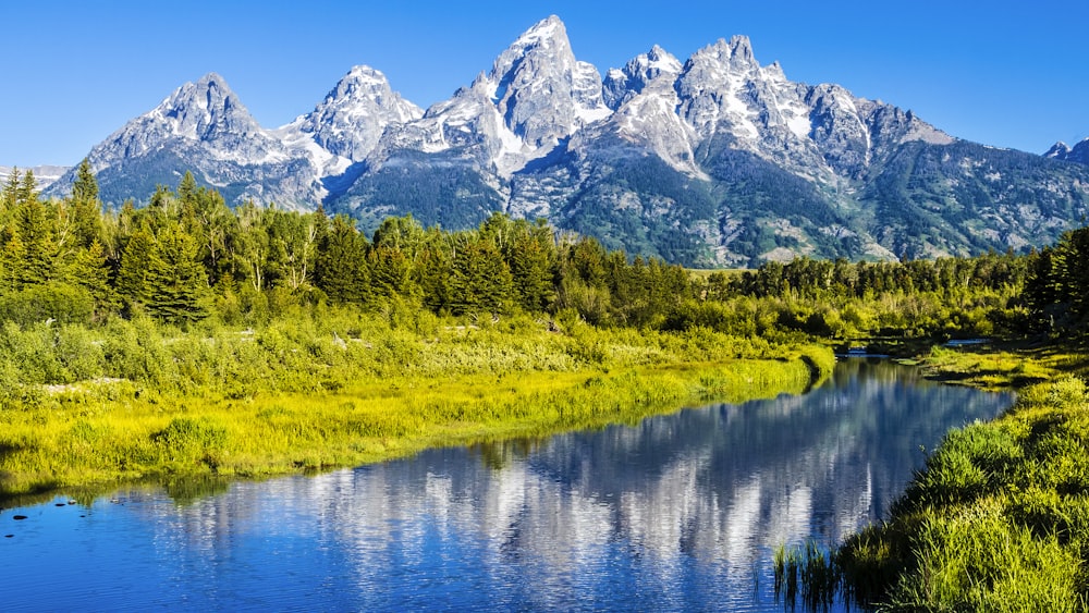 green grass field near lake and mountain range