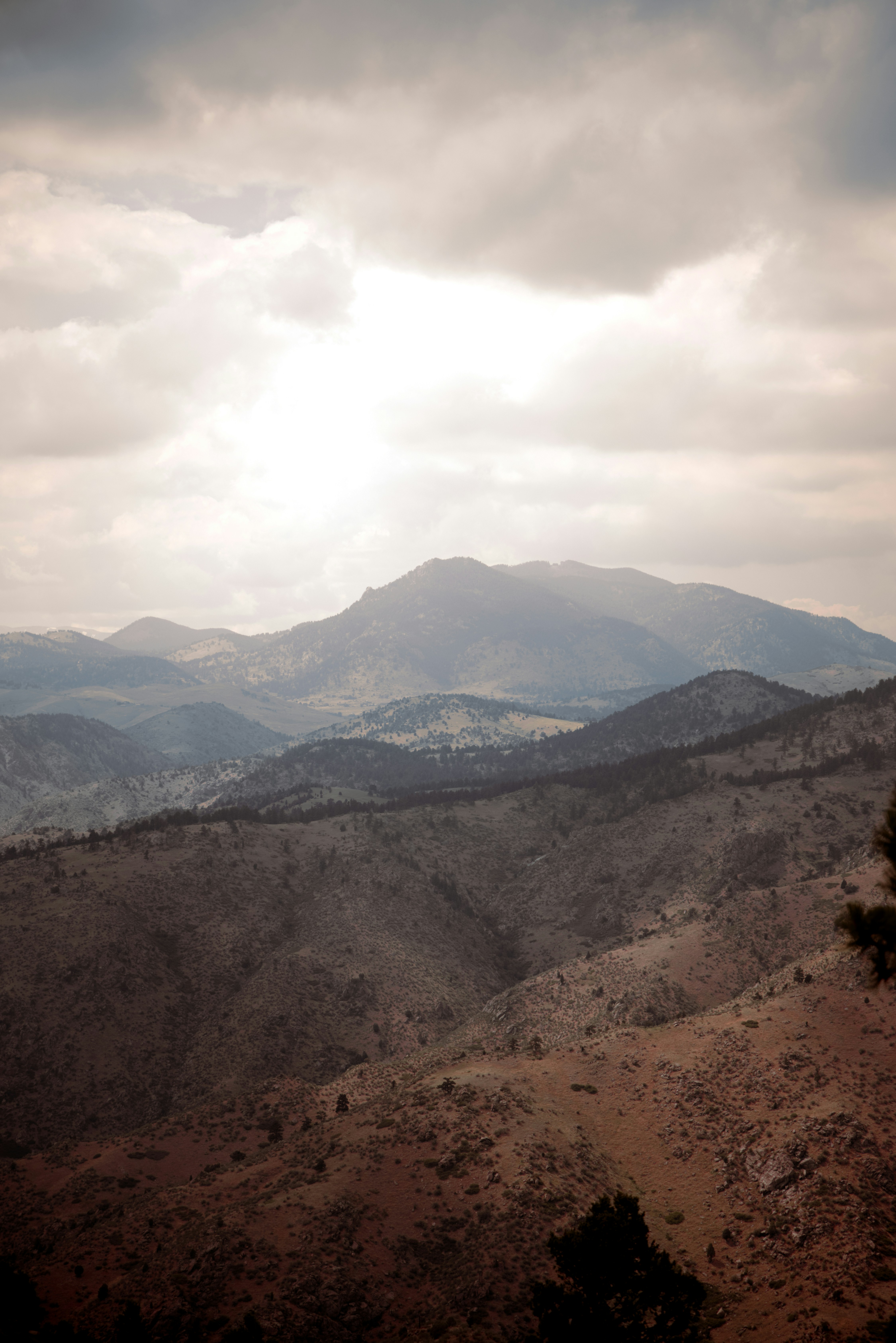 Photo by ldpeterson11