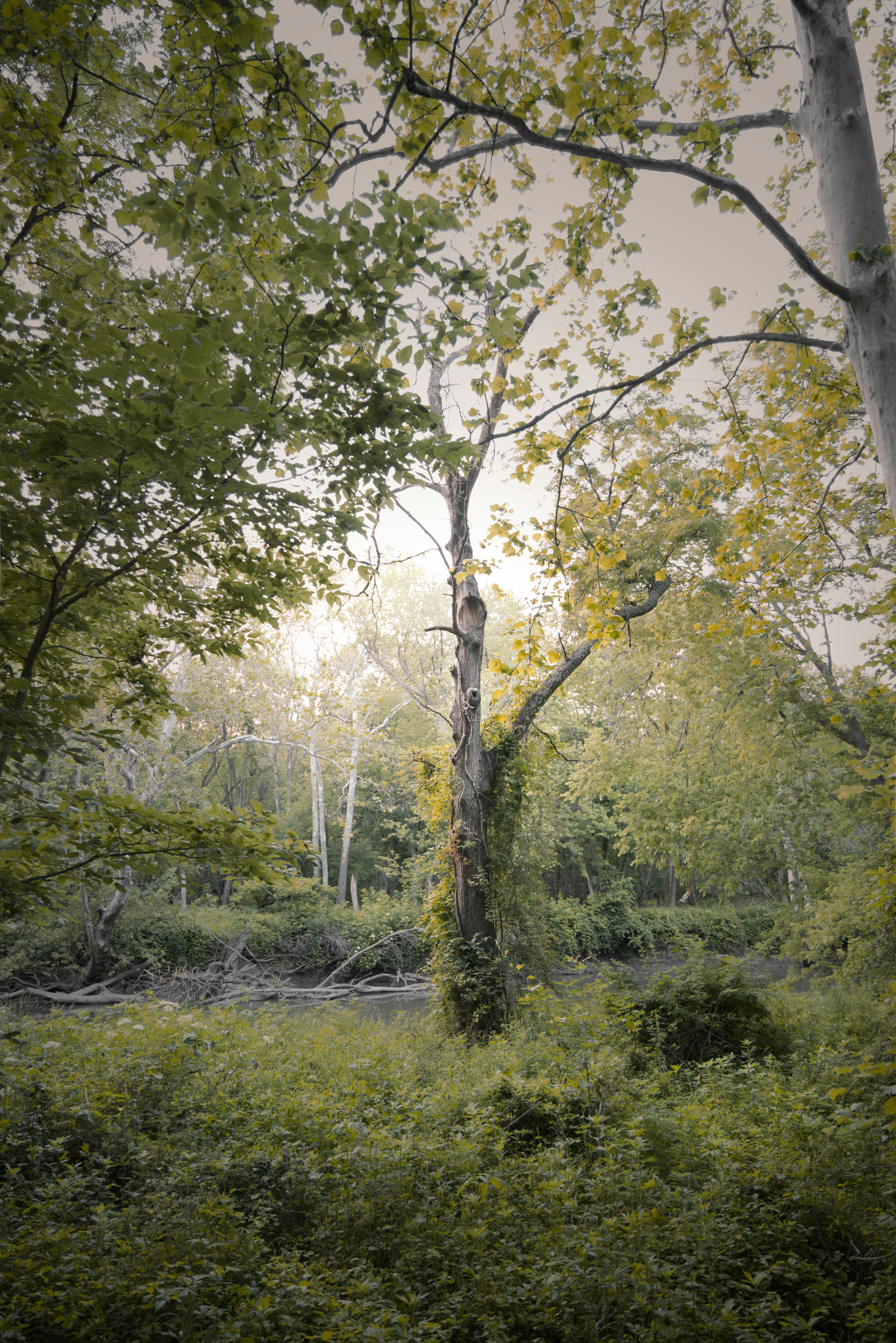 Photo by ldpeterson11