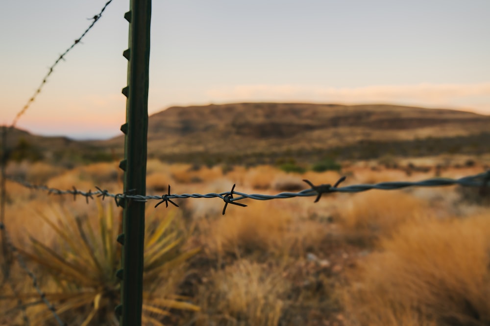 gray barbwire in tilt shift lens