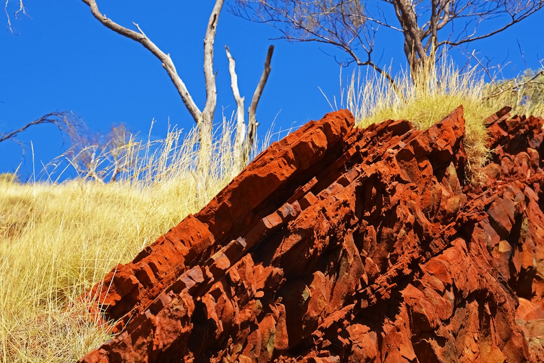 brown rock formation near green grass during daytime