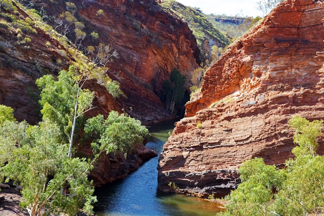 brown and green mountains beside river during daytime