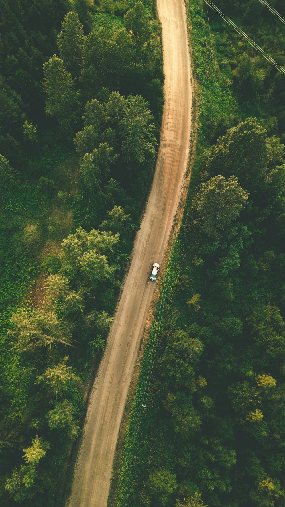 aerial view of road in the middle of green trees